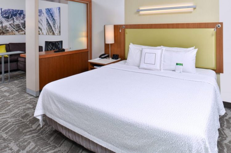 SpringHill Suites by Marriott Detroit , MI 48174 near Detroit Metropolitan Wayne County Airport View Point 17