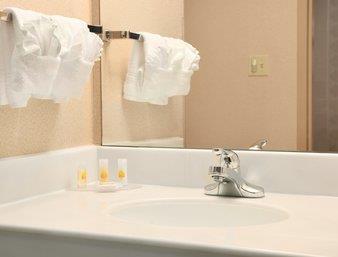 Days Hotel by Wyndham Buffalo Airport , NY 14225 near Buffalo Niagara International Airport View Point 13