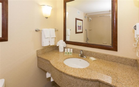 Hilton Garden Inn Buffalo Airport , NY 14225 near Buffalo Niagara International Airport View Point 21