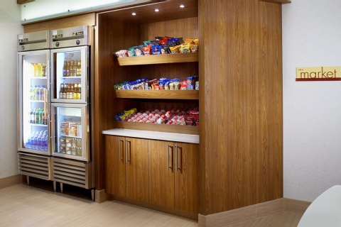 SpringHill Suites by Marriott Houston Intercontinental Airport , TX 77032 near George Bush Intercontinental Airport View Point 4