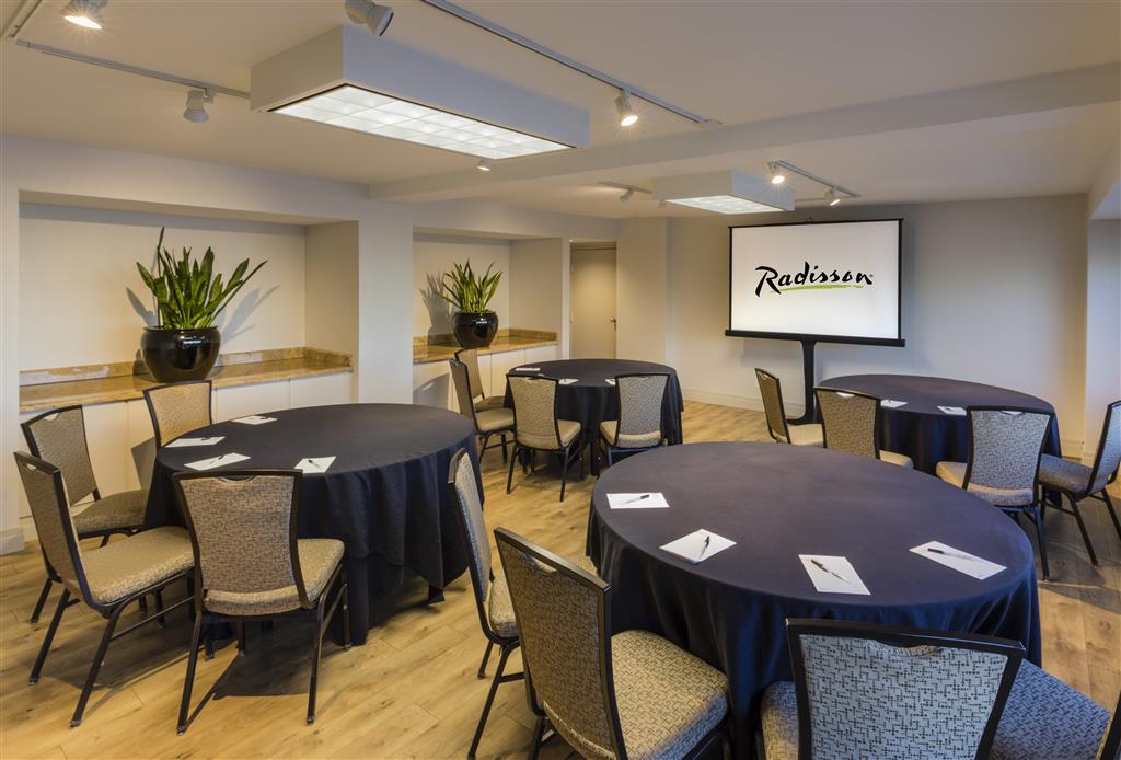Radisson Hotel Downtown Salt Lake City , UT 84101 near Salt Lake City International Airport View Point 6